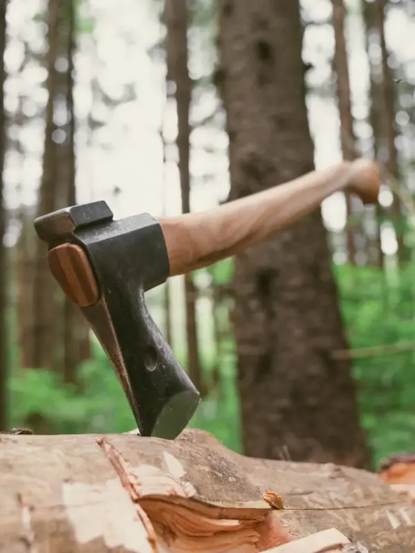 anika "fin hiking" axe with leather steath